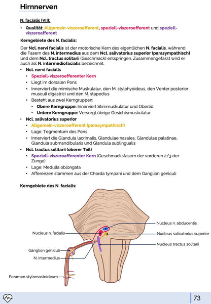 Anatomie & Physiologie-Bundle