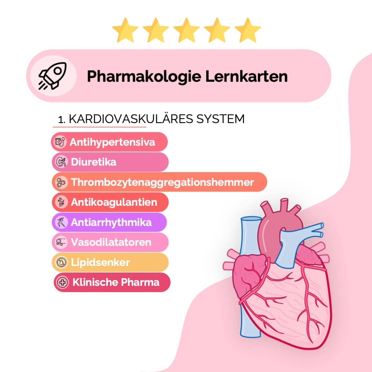 Pharma-Bundle (38% off) Skripte Medi Know 