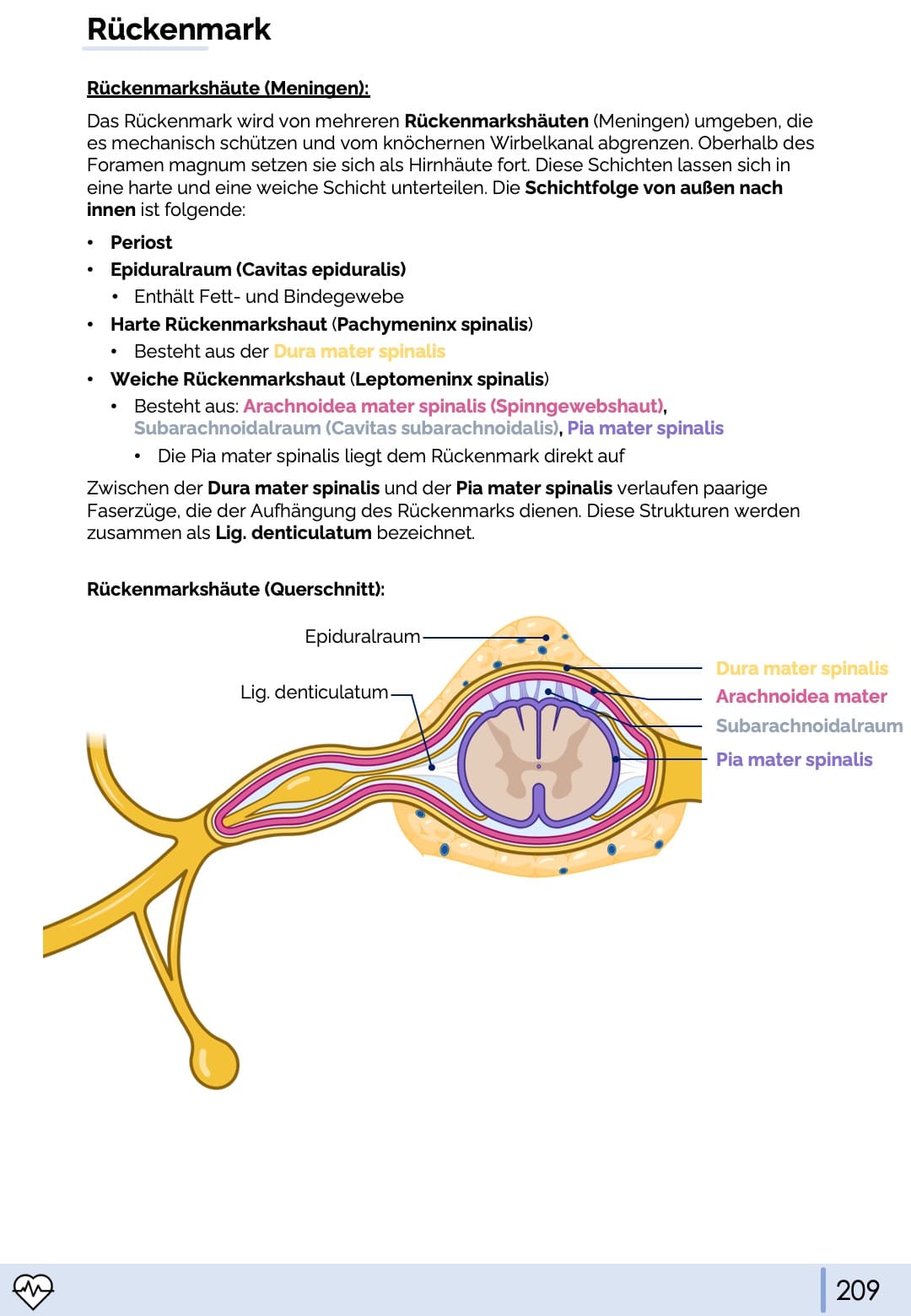 Anatomie & Physiologie-Bundle