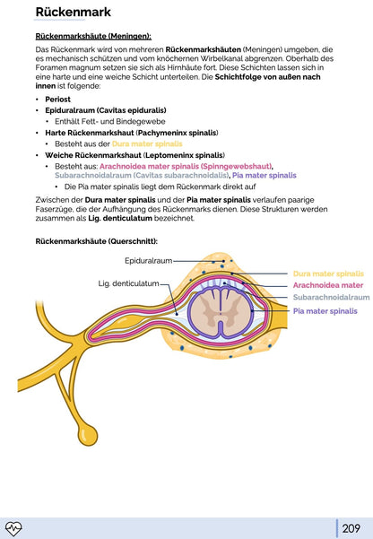 Anatomie & Physiologie-Bundle